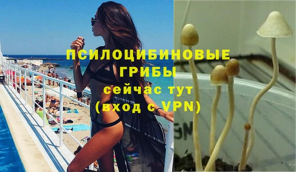 jwh Мегион