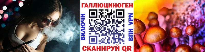 Купить закладки  Тогучин  Галлюциногенные грибы Cubensis 